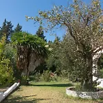 Dora Pagoi 3