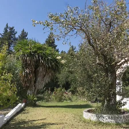 Appartement Dora Pagoi 3 Agios Georgios Pagon